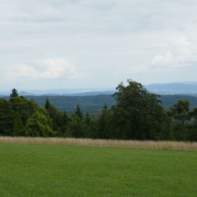 021 Blick in den Hegau